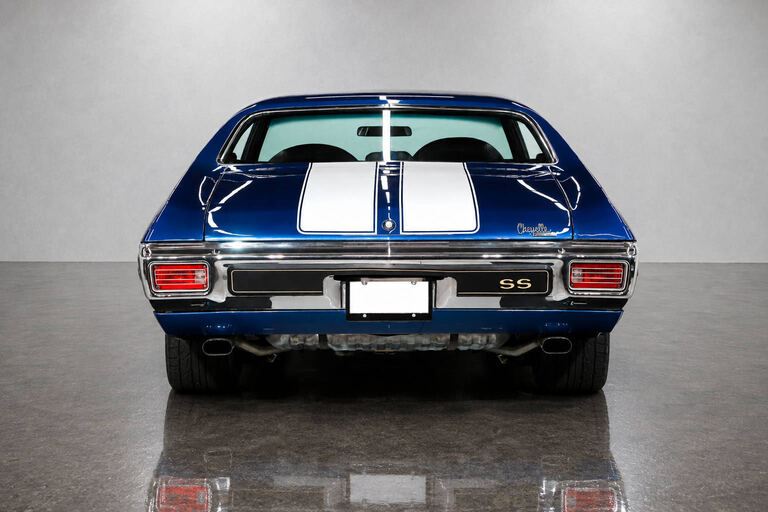 1970 Chevrolet Chevelle Pro Touring